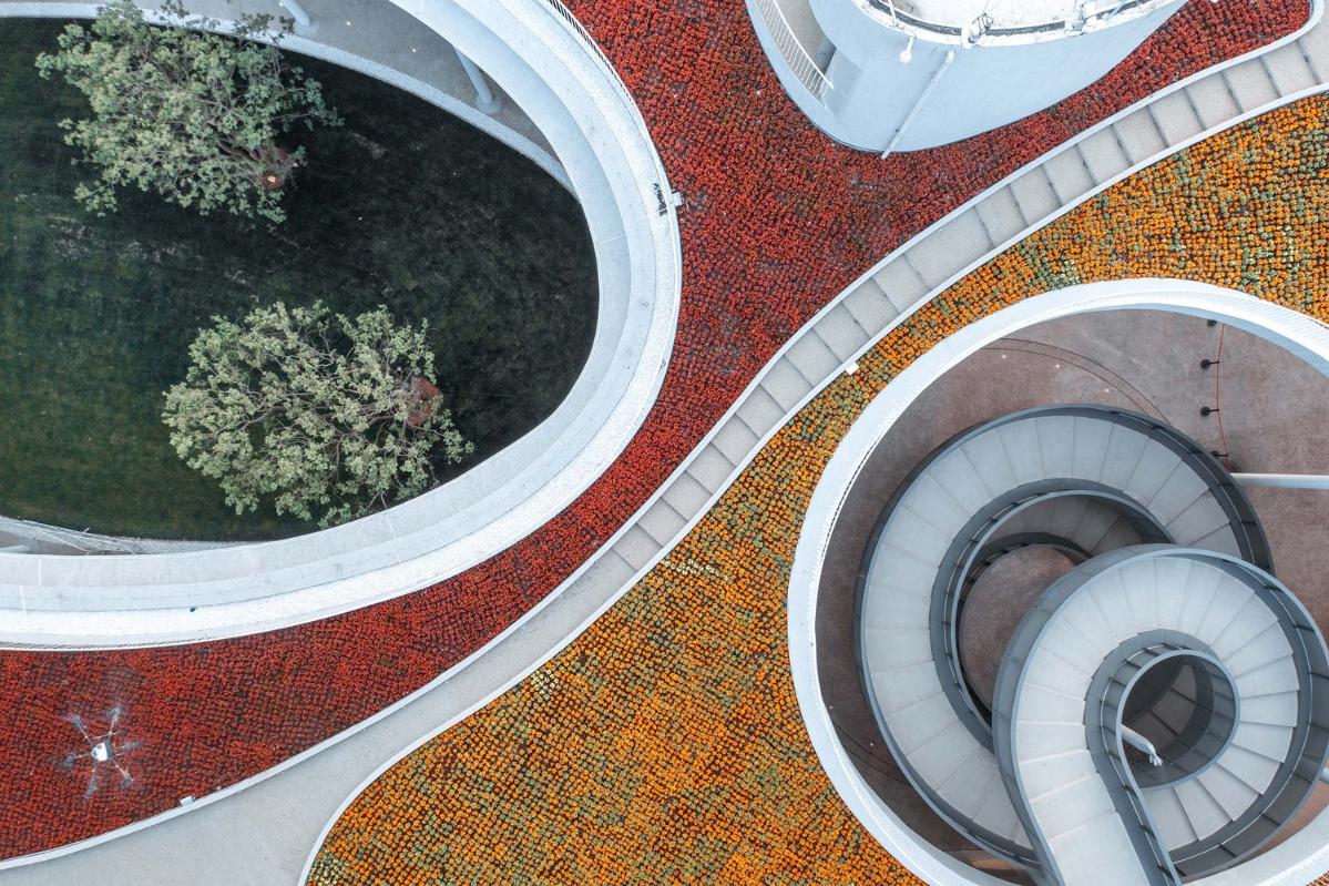 Eastern___Western_Wing_(2).jpg Eastern___Western_Wing_(2).jpg