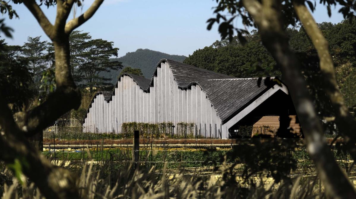 05田間-張劍.jpg 05田間-張劍.jpg