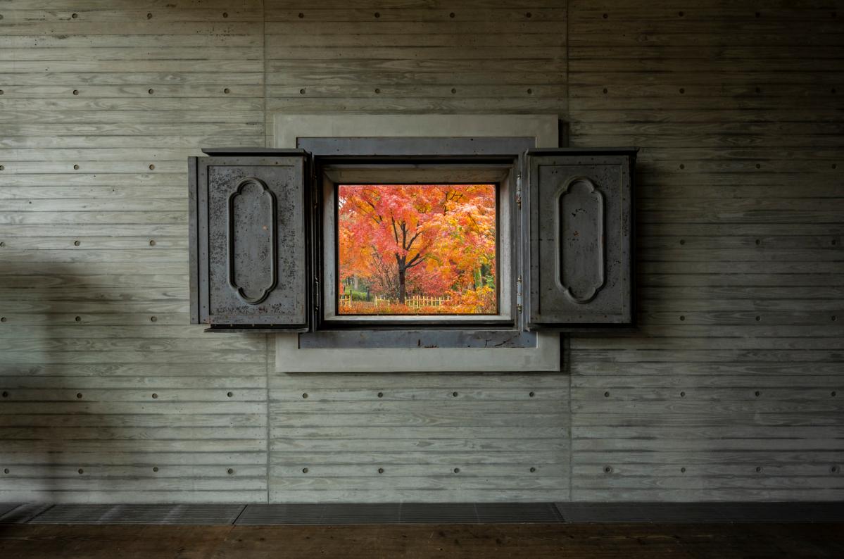 aifoto-017.jpg aifoto-017.jpg